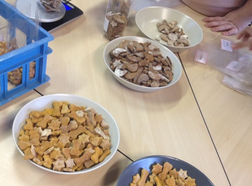 Sch&uuml;lerfirma "Dog Toffees"