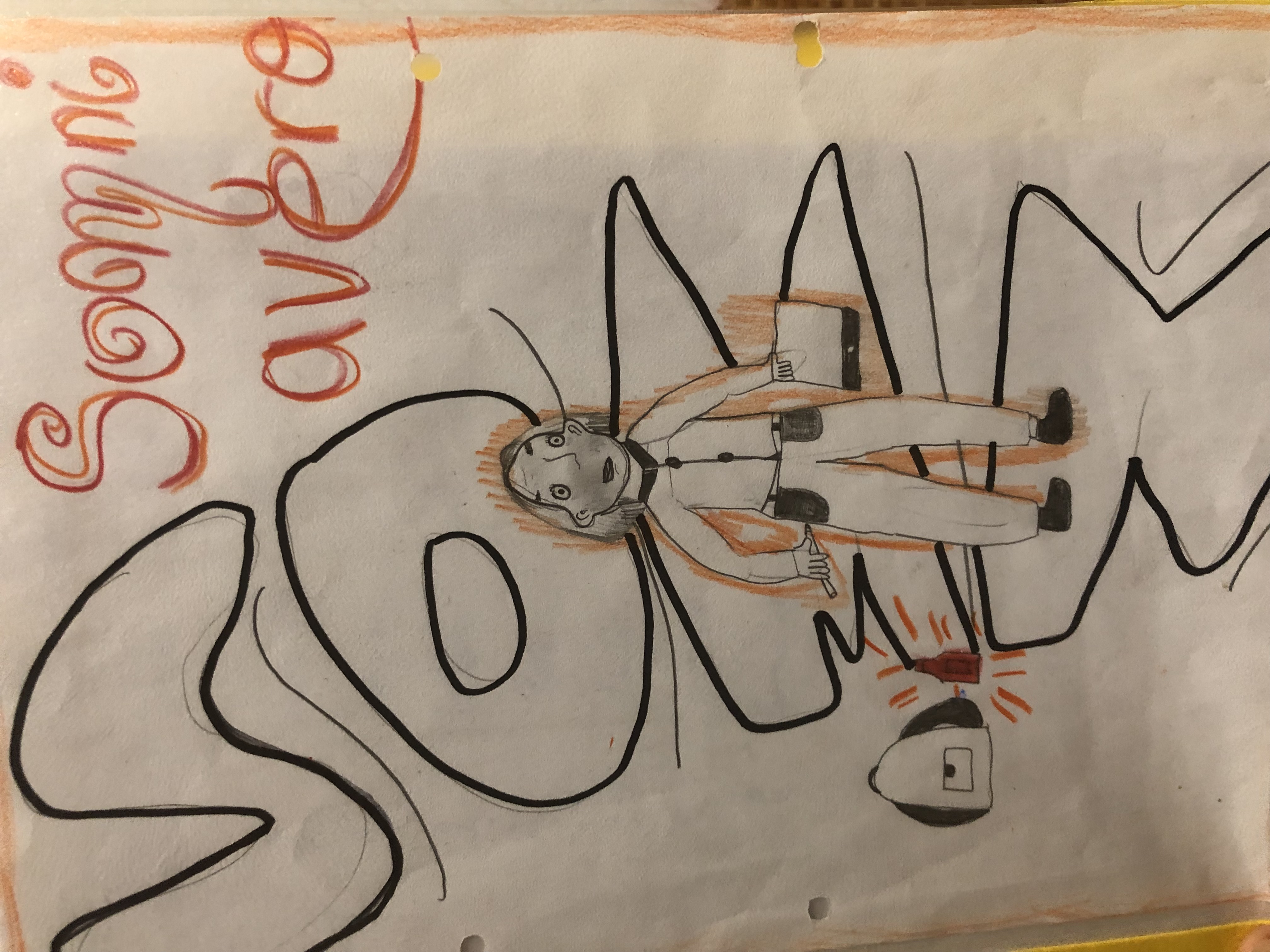 Ein Lekt&uuml;reprojekt mit dem Zukunftsroman &bdquo;Somniavero&ldquo;